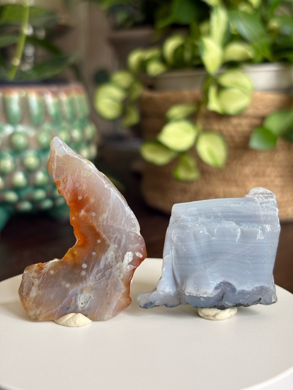 Ocean Jasper Crystal Specimen Set - Polished OBJ - Sea Jasper Bundle